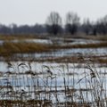 Nuo liūčių nukentėję Kauno rajono ūkininkai atleisti nuo žemės mokesčių