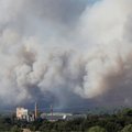 Во Франции бушуют лесные пожары: эвакуированы 10 000 человек