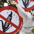 „Monsanto“ naujoje „Roundup“ byloje liepta ieškovams sumokėti per 2 mlrd. JAV dolerių