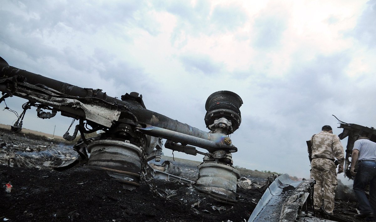 Ukrainoje nukrito Malaizijos oro linijų lėktuvą