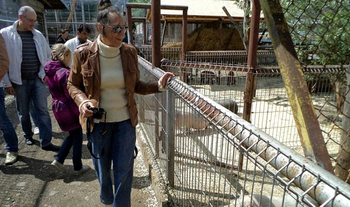 E.Legecko vietnamietiškos kiaulės zoosode