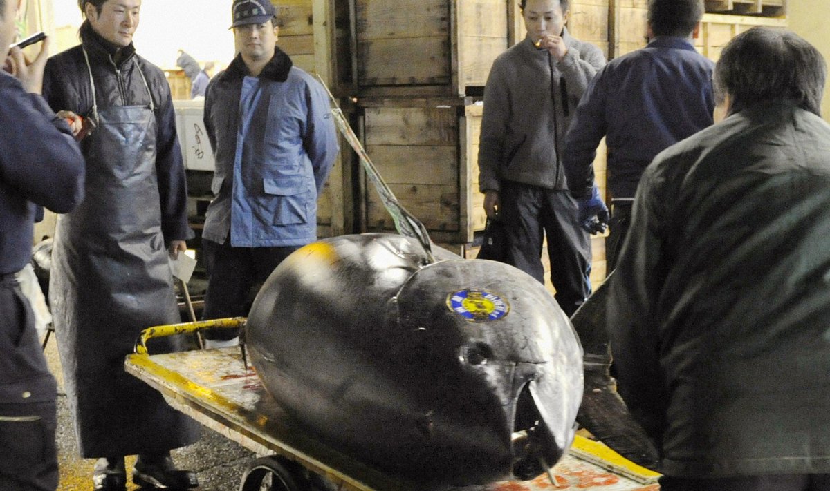 Tokijuje milžiniškas tunas parduotas už 1 mln. Lt
