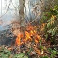 Amazonės genties žmonės palikti vieni kovoje su miškus pasiglemžiančiais gaisrais