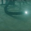Gyvatės formos robotas tirs vandenyno užkaborius