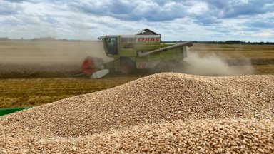 Ekonomistas Povilauskas: kitų metų žemės ūkio produktų rinkoje didesnio optimizmo kol kas nėra