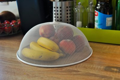 Vaisinės muselės
