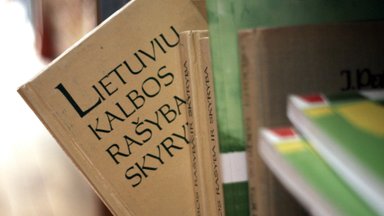Литовский для иностранцев: почему один из древнейших языков Европы так сложно выучить