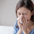 Metų laikams nepavaldi liga: alerginio rinito sukėlėjų yra kiekvienuose namuose