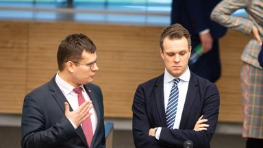 Министры иностранных дел и обороны Литвы примут участие в заседании Совета ЕС по иностранным делам