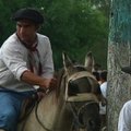 Argentinoje vyko tradicinis gaučų festivalis ir rodeo