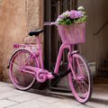 Dizainerė K.Kruopienytė: važiuoti dviračiu stilingai - įmanoma