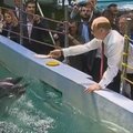V. Putino dėmesio sulaukė Tolimųjų Rytų delfinai