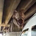 Bankoke spūstyje įstrigo „atgijęs“ tiranozauras