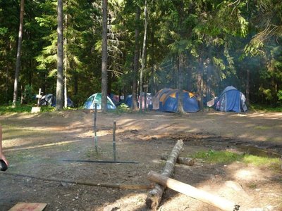 Miške palapines statyti galima tik stovyklavietėse