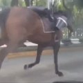 Meksikoje pasprukę policijos žirgai apgadino kelis automobilius