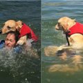Komiška situacija ežere: atrodo, kad šuo bando nuskandinti šeimininkę