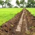 Ūkininkai ir toliau galės naudotis Lietuvos kaimo plėtros programos pagalba