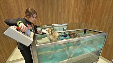 Vilniuje atidarytas didžiausias šalyje gyvūnų gydymo ir sveikatinimo kompleksas: čia gydo net krevetes