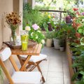 Nuosavam sodui kiemo nereikia: 10 idėjų, kaip sukurti oazę daugiabučio balkone