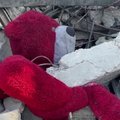 Beveik visą šeimą praradęs palestinietis pasakoja, kad situacija Gazos mieste civiliams gyventojams yra „katastrofiška“