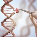 Mokslininkai siūlo: jei bijote dėl savo DNR, dalinkitės ja
