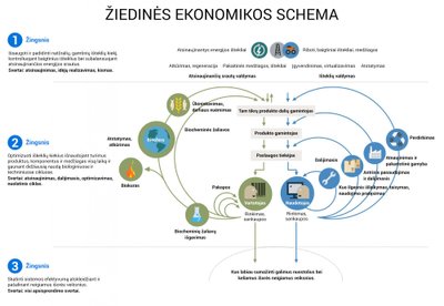 Žiedinė ekonomika