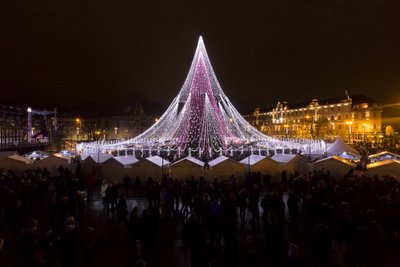 Vilnius, 2017 m. gruodžio 1 d. (ELTA). Vilniuje įžiebta Kalėdų eglutė. Gedimino Bartuškos (ELTA) nuotr.