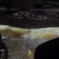 Nufilmuota: estų lenktynininkas atsidūrė vandenyje