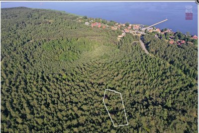Aukcione parduodamas objektas Neringoje (Turto banko nuotr.)
