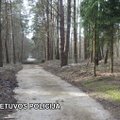 Vilniaus kapinėse rasta nužudyta dingusi 15-metė, suimtas 16-metis įtariamasis