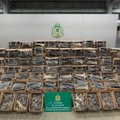 Honkongo muitinė konfiskavo 38 500 nykstančių ryklių pelekų