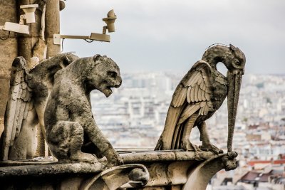 Paryžiaus Švč. Dievo Motinos katedros chimeros