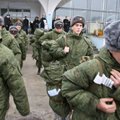 Sugriovė Kremliaus melą apie Rusijos kariuomenę