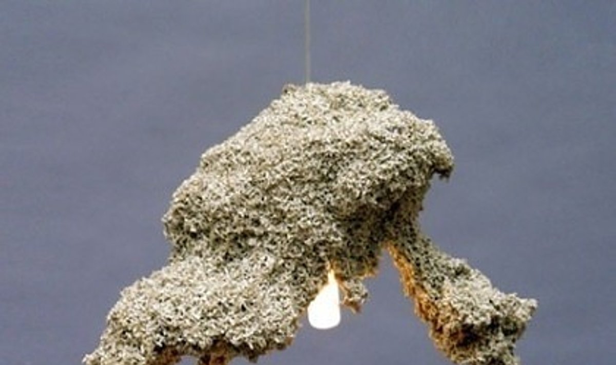 12. Samaninė lempa. Dizainas: Johanness Hemann.