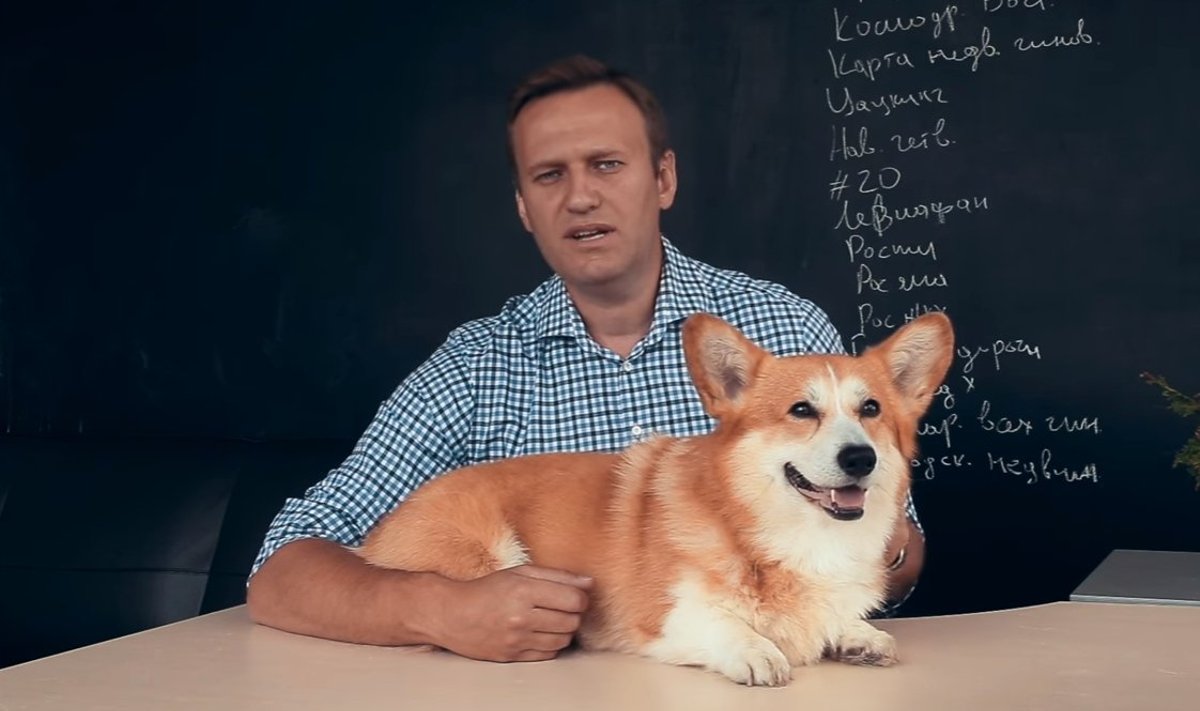 A. Navalno tyrimas apie I. Šuvalovo korgius