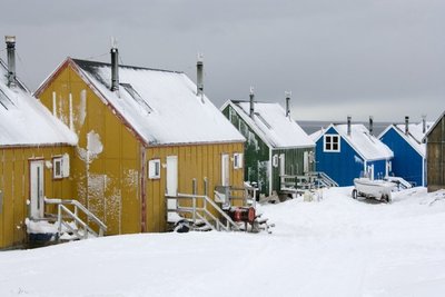 Mediniai namukai Grenlandijoje