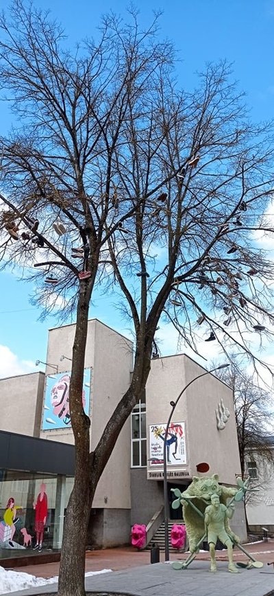 „Batų medis“ po atnaujinimo