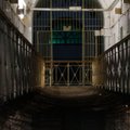 Kalėjimų departamentas svarstys du pasiūlymus dėl Lukiškių iškėlimo