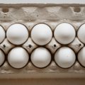 Suskubkite apsirūpinti baltojo lukšto kiaušiniais: dabar pakuotė „Iki“ kainuoja vos 1,39 Eur