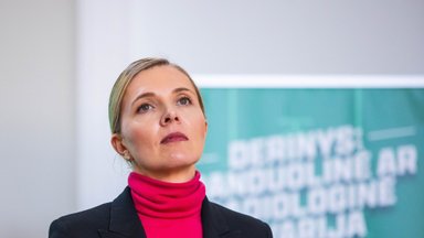 Bilotaitė turns to prosecutors over president’s announcement of arrest of Volkov’s attackers