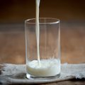 Vidutinės natūralaus pieno supirkimo kainos per metus padidėjo 3,3 proc.