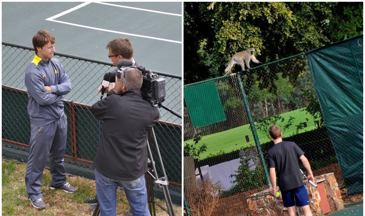 Ričardas Berankis ir beždžionė ant tvoros (DELFI fotomontažas)