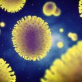 Mokslininkai rado būdą apsisaugoti nuo gripo epidemijų