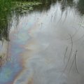 Panevėžio Žagienės upelyje išsiliejo naftos produktai