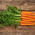 Lietuviškų morkų ir svogūnų derlius pasiekė parduotuvių lentynas
