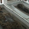Į Čilę grąžintos vienos seniausių pasaulyje mumijų