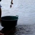 Ekstremali žvejyba Brazilijoje – piranijoms pagauti meškerės nereikia