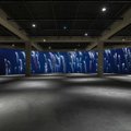Emilijos Škarnulytės kūriniai – vienoje svarbiausių Jungtinės Karalystės šiuolaikinio meno galerijų
