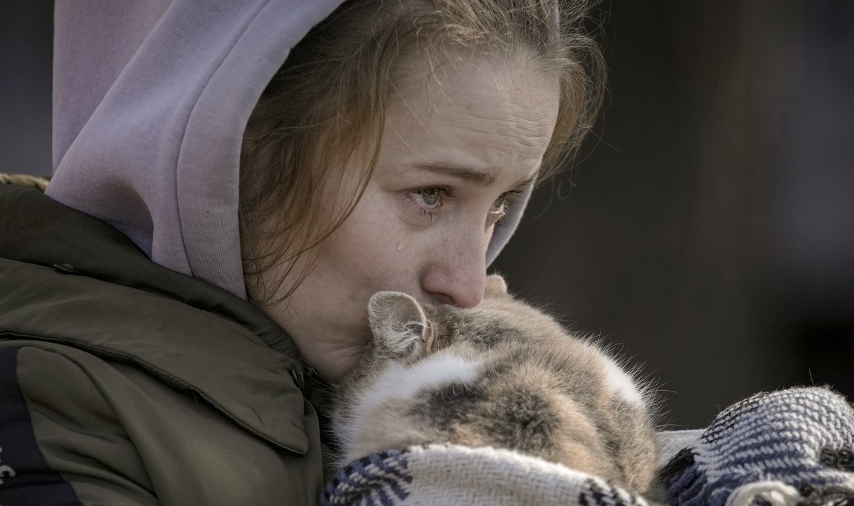 Moteris, evakuota iš Irpinės, verkia bučiuodama į antklodę suvyniotą katę Kyjivo skirstymo punkte