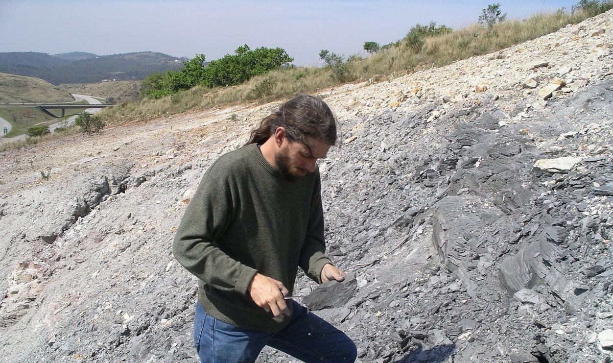 R. Gessas atrado seniausią sausumos gyvūno fosiliją